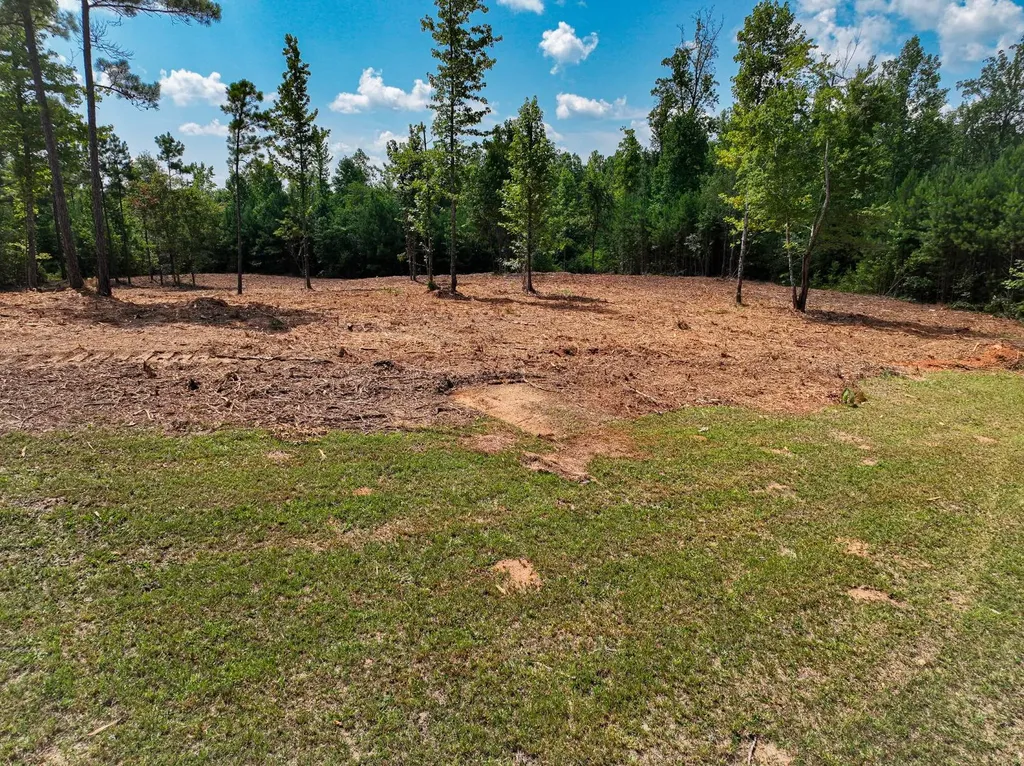 0 Coaling Road Sylacauga AL 35151