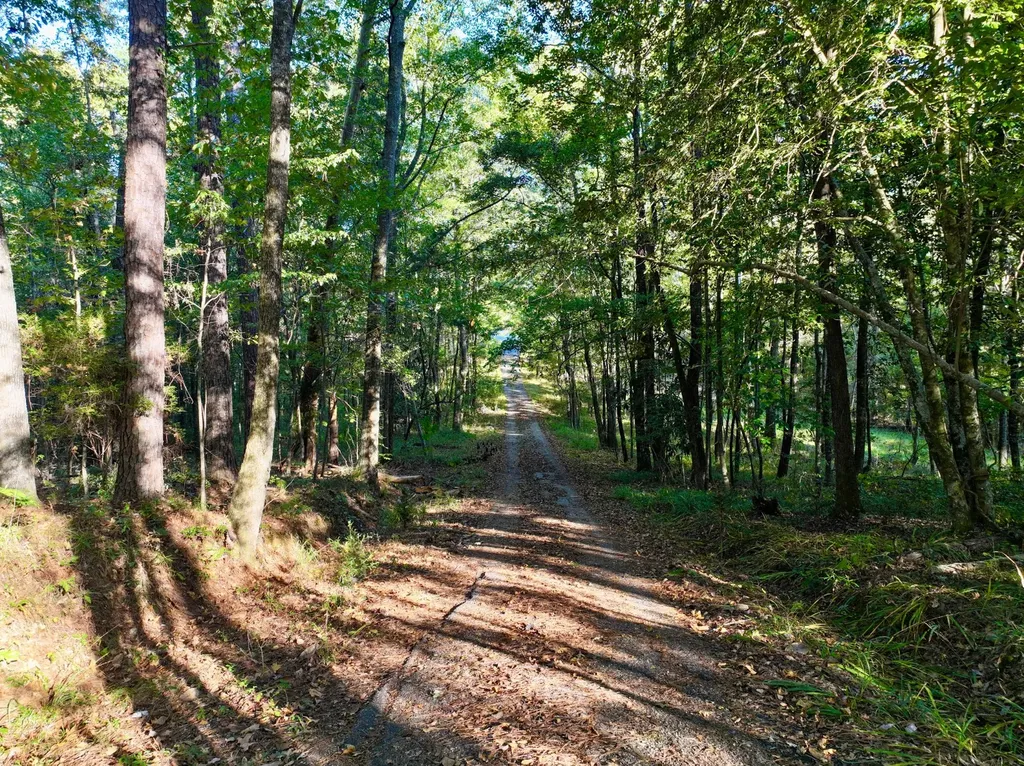 2056 Old Highway 5 S Thomasville AL 36784
