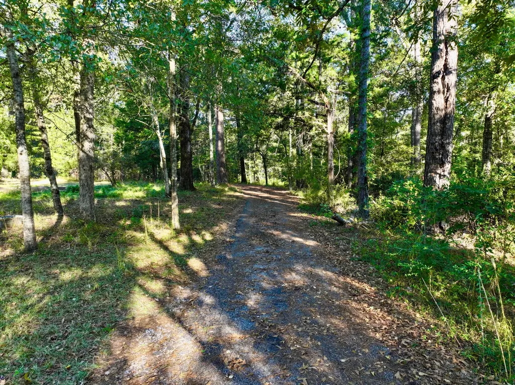 2056 Old Highway 5 S Thomasville AL 36784