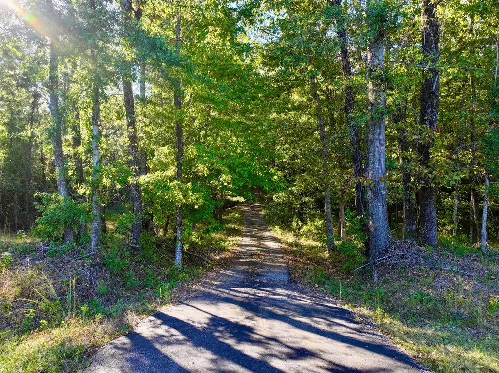 2056 Old Highway 5 S Thomasville AL 36784