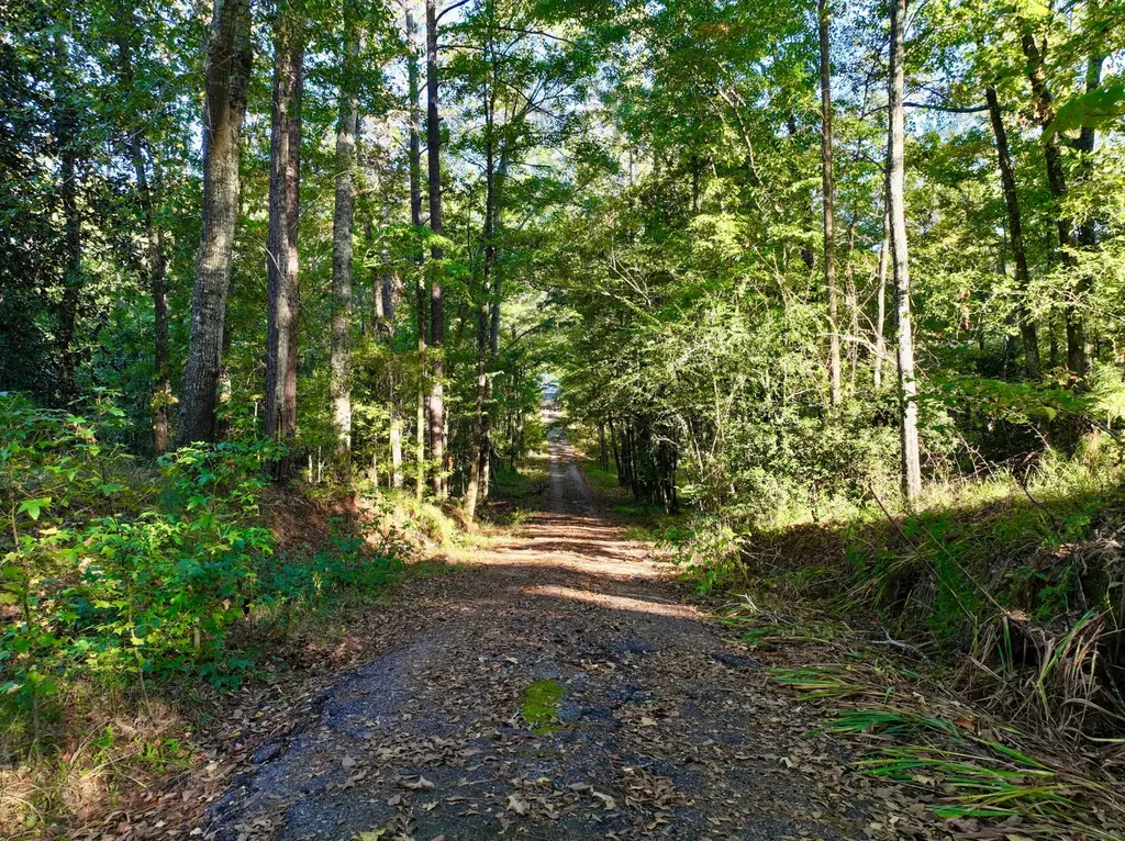 2056 Old Highway 5 S Thomasville AL 36784