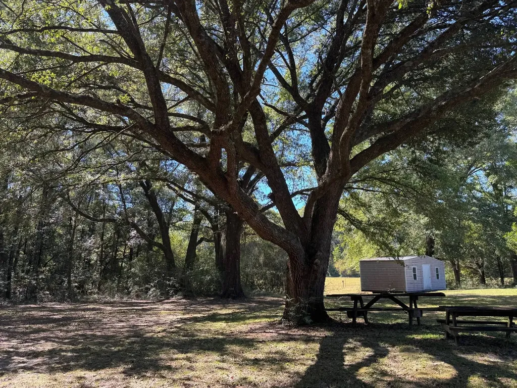 14734 Clary Road Florala AL 36442