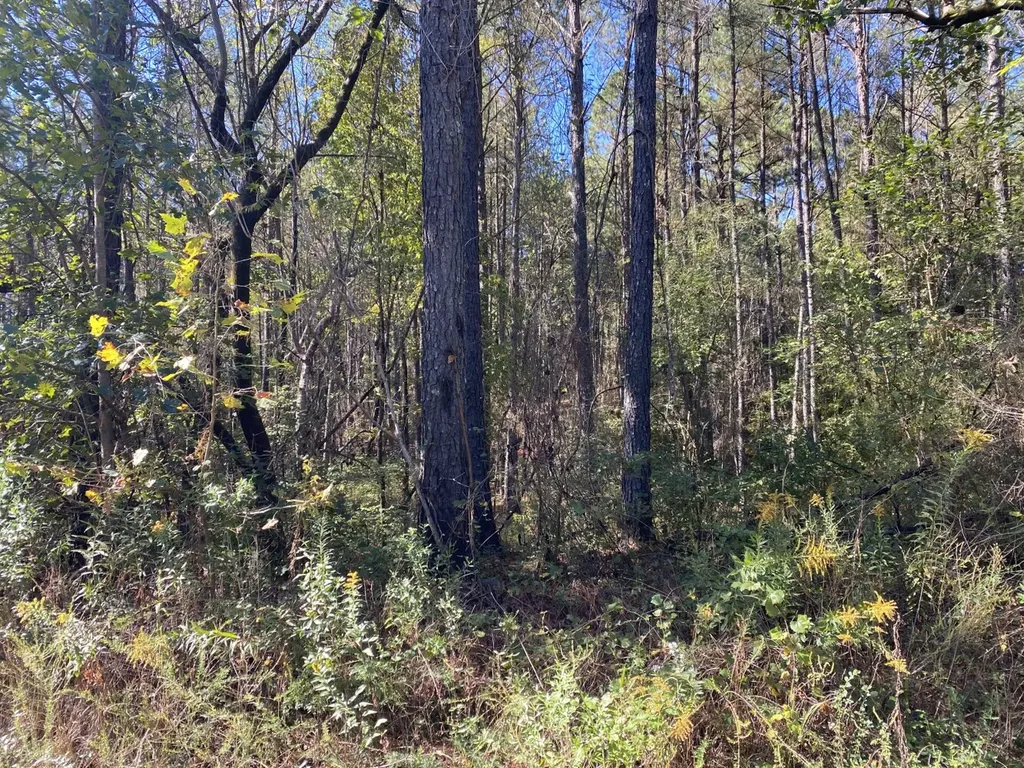 2140 Glovers Bend Road Gardendale AL 35071