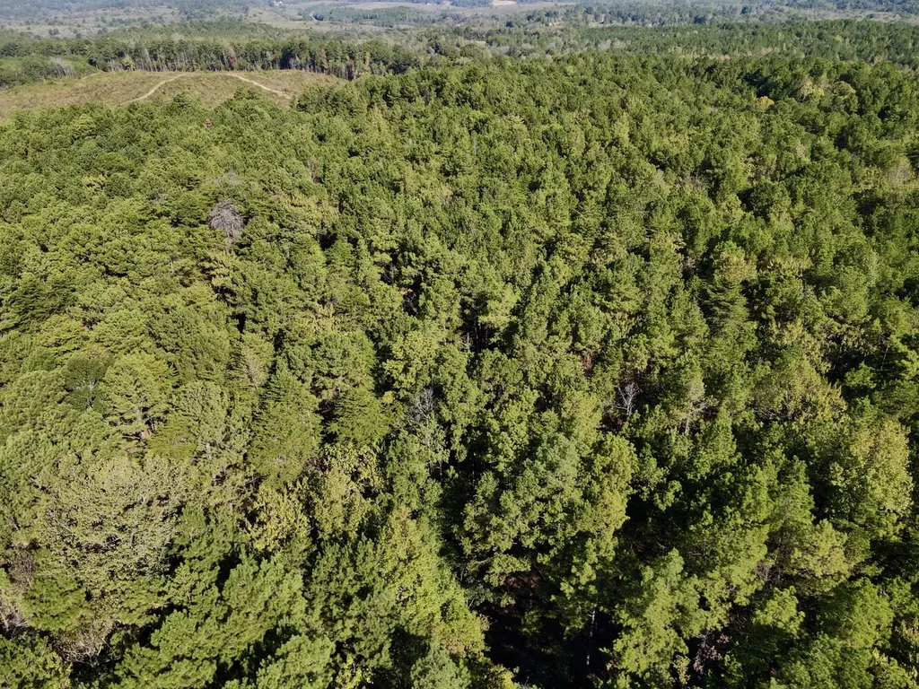 2140 Glovers Bend Road Gardendale AL 35071