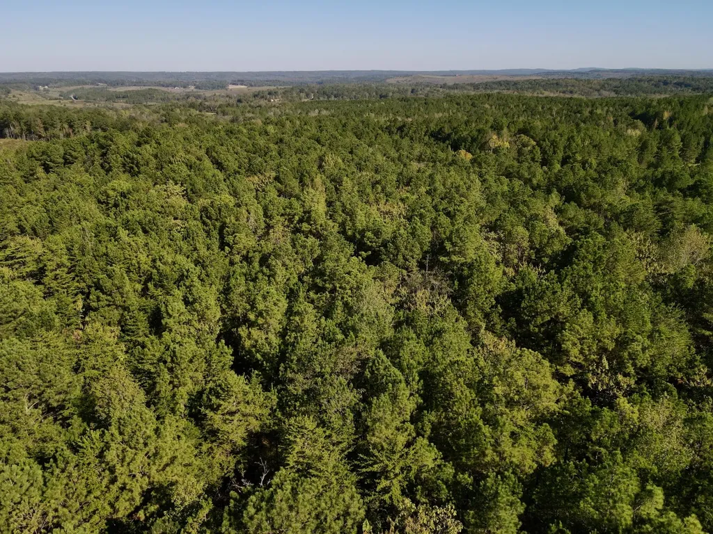 2140 Glovers Bend Road Gardendale AL 35071