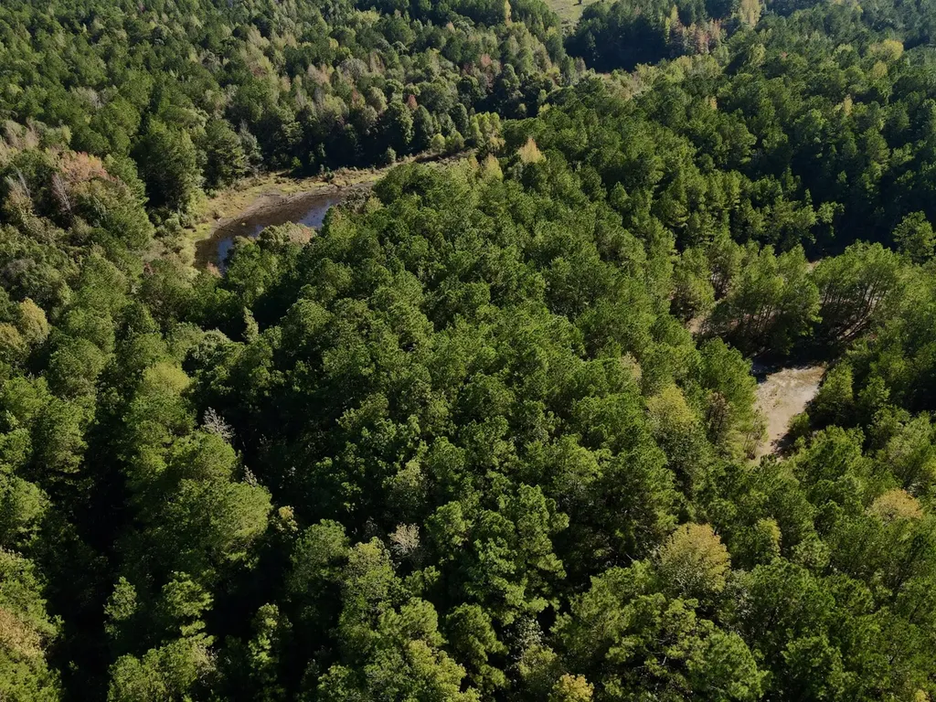 2140 Glovers Bend Road Gardendale AL 35071
