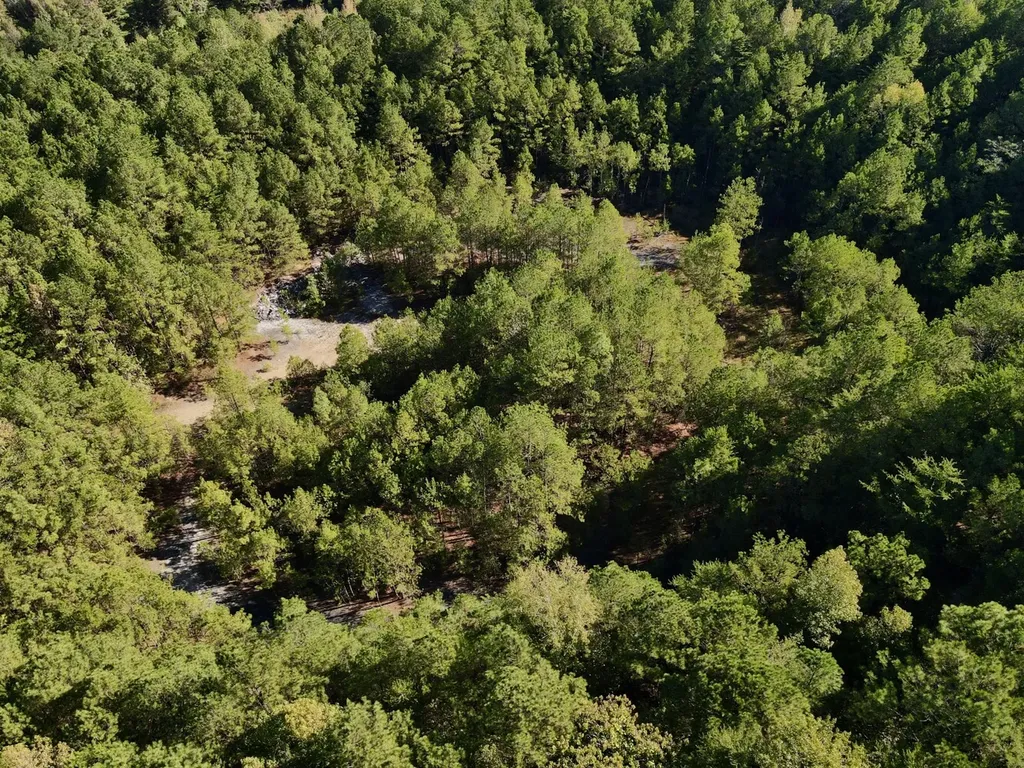 2140 Glovers Bend Road Gardendale AL 35071