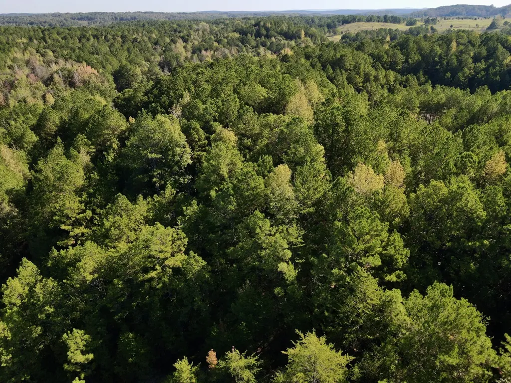 2140 Glovers Bend Road Gardendale AL 35071