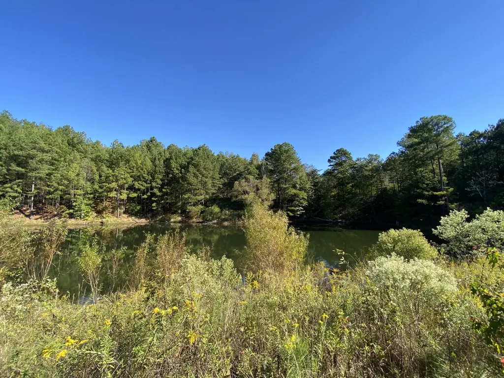 2140 Glovers Bend Road Gardendale AL 35071
