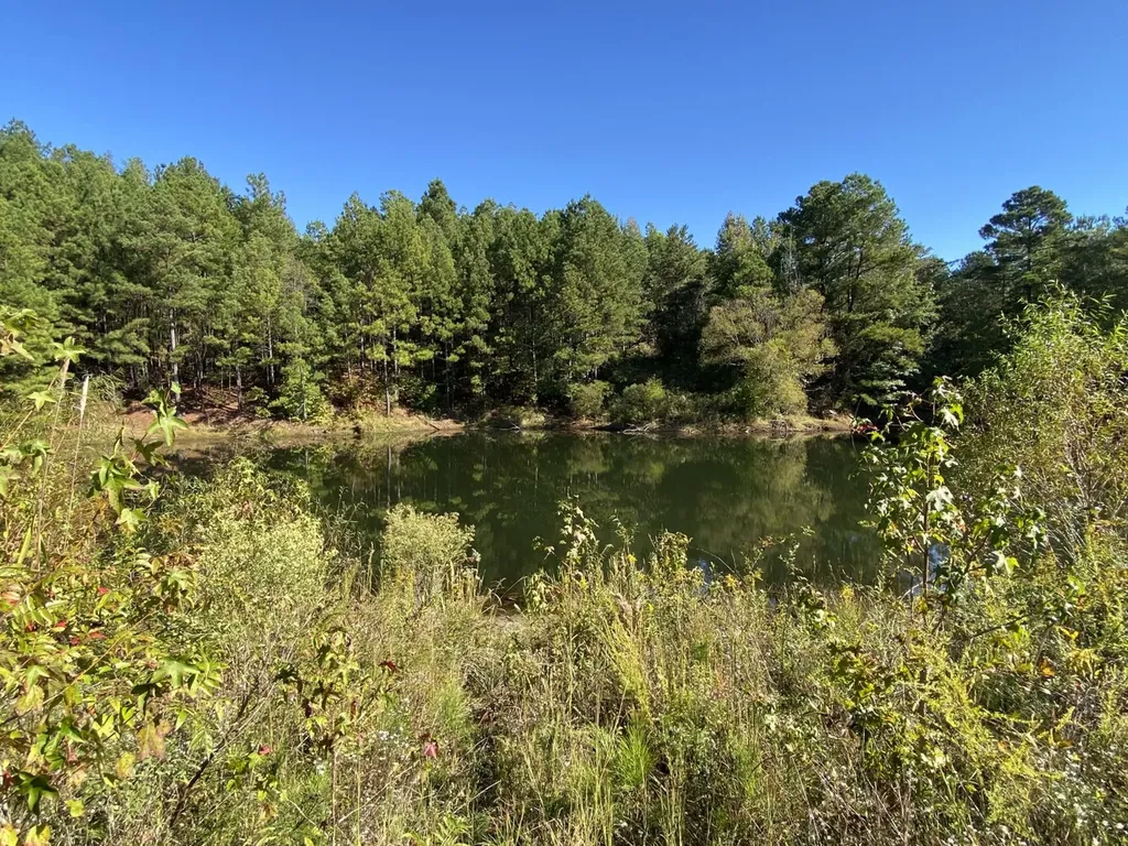 2140 Glovers Bend Road Gardendale AL 35071