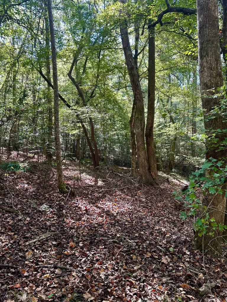 2495 Taylor Cross Road Lapine AL 36046