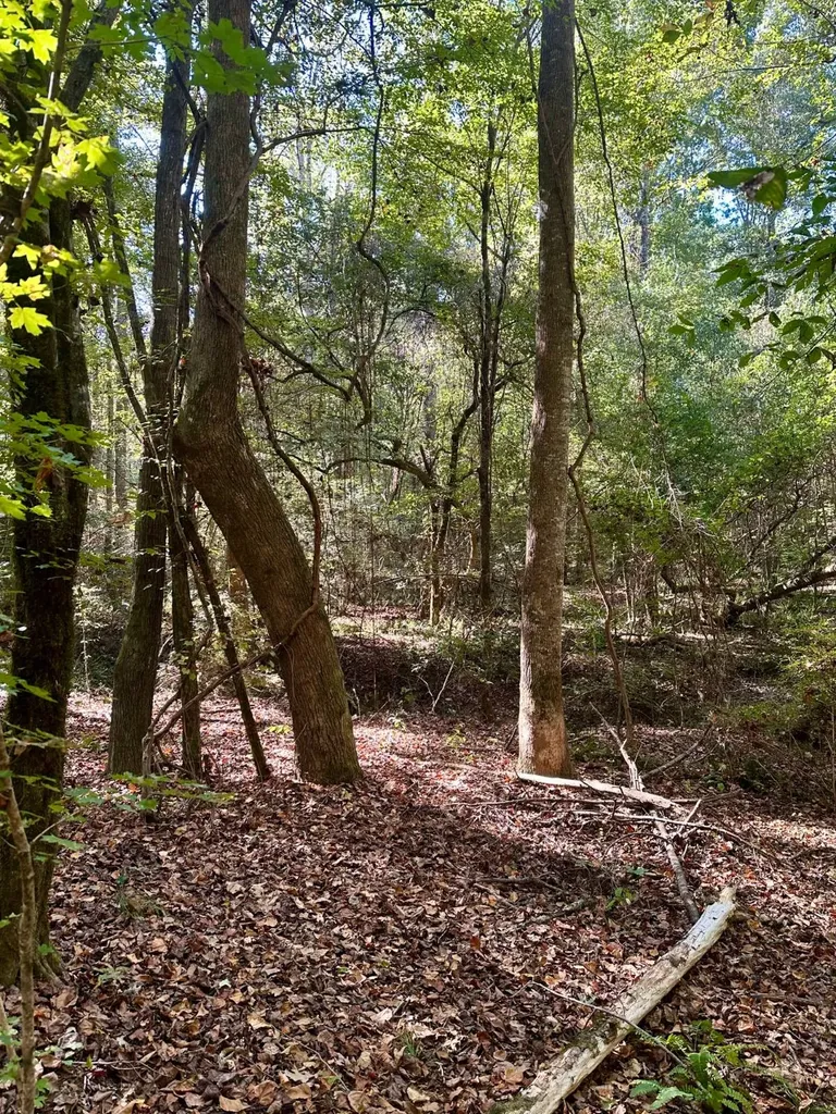 2495 Taylor Cross Road Lapine AL 36046