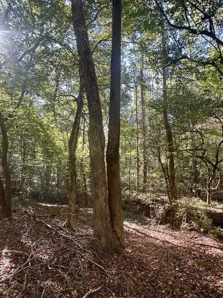 2495 Taylor Cross Road Lapine AL 36046