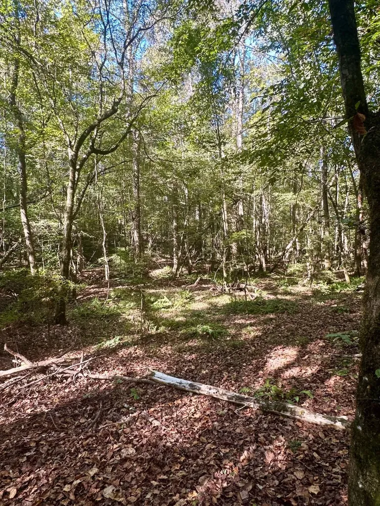 2495 Taylor Cross Road Lapine AL 36046