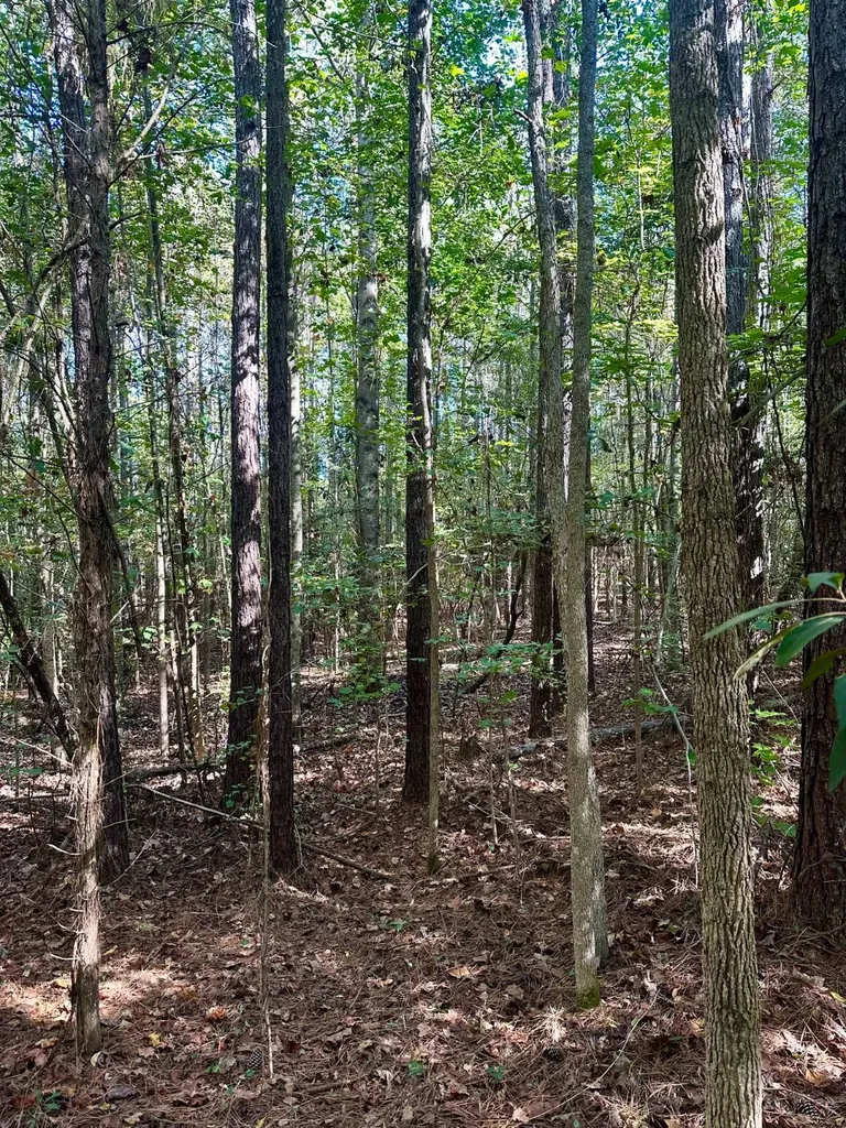 2495 Taylor Cross Road Lapine AL 36046