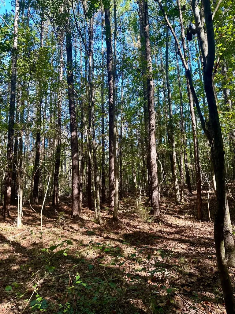 2495 Taylor Cross Road Lapine AL 36046