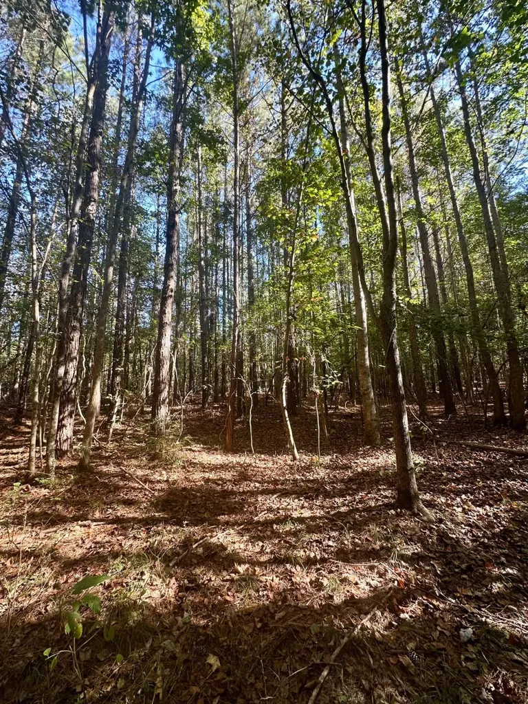 2495 Taylor Cross Road Lapine AL 36046