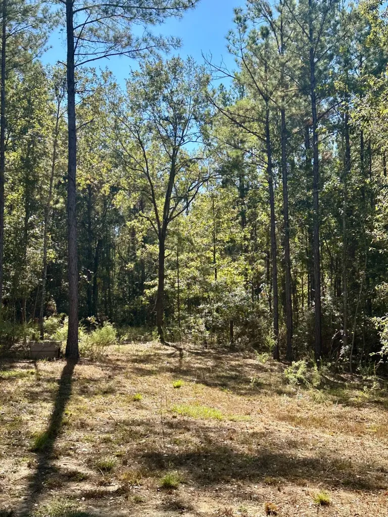 2495 Taylor Cross Road Lapine AL 36046