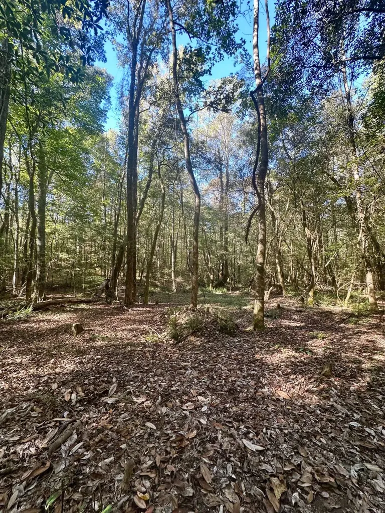 2495 Taylor Cross Road Lapine AL 36046