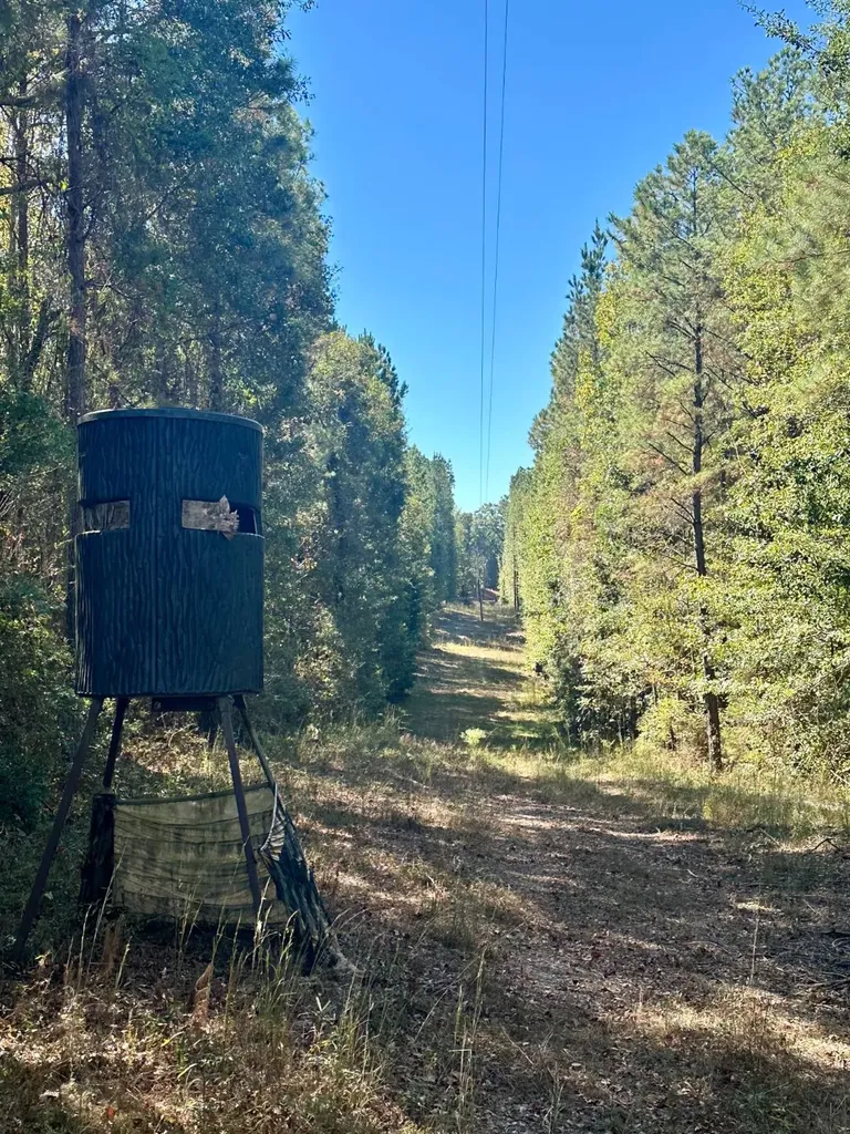 2495 Taylor Cross Road Lapine AL 36046