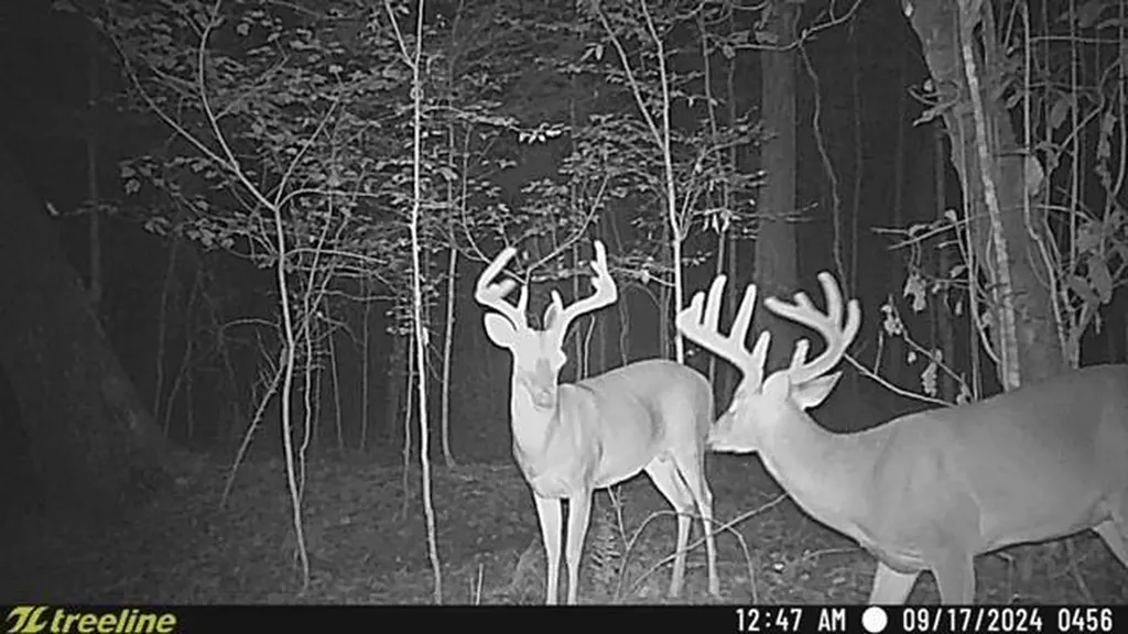 2495 Taylor Cross Road Lapine AL 36046