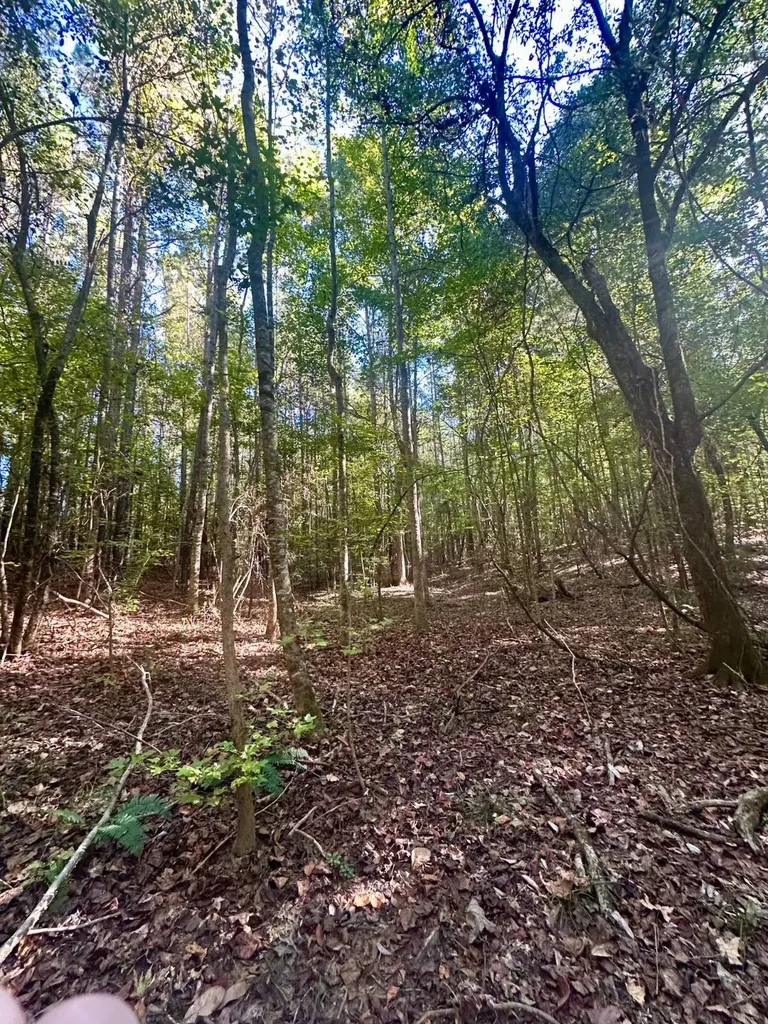 2495 Taylor Cross Road Lapine AL 36046