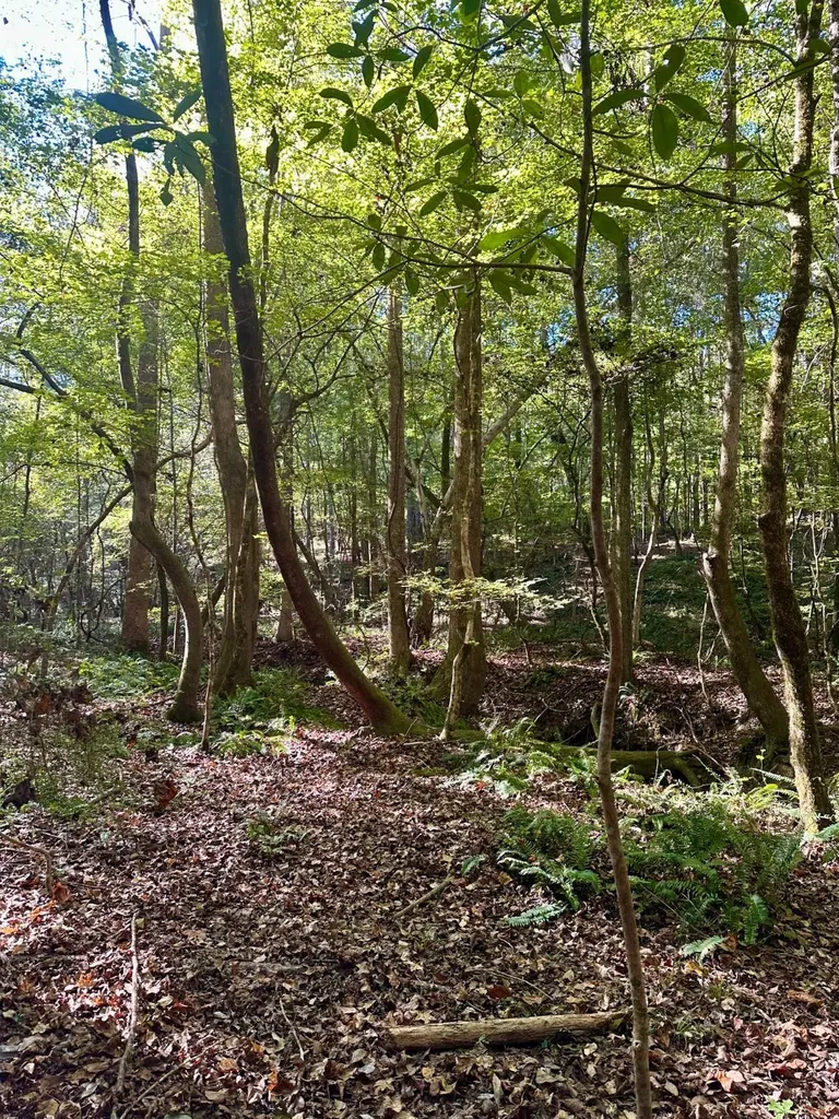 2495 Taylor Cross Road Lapine AL 36046