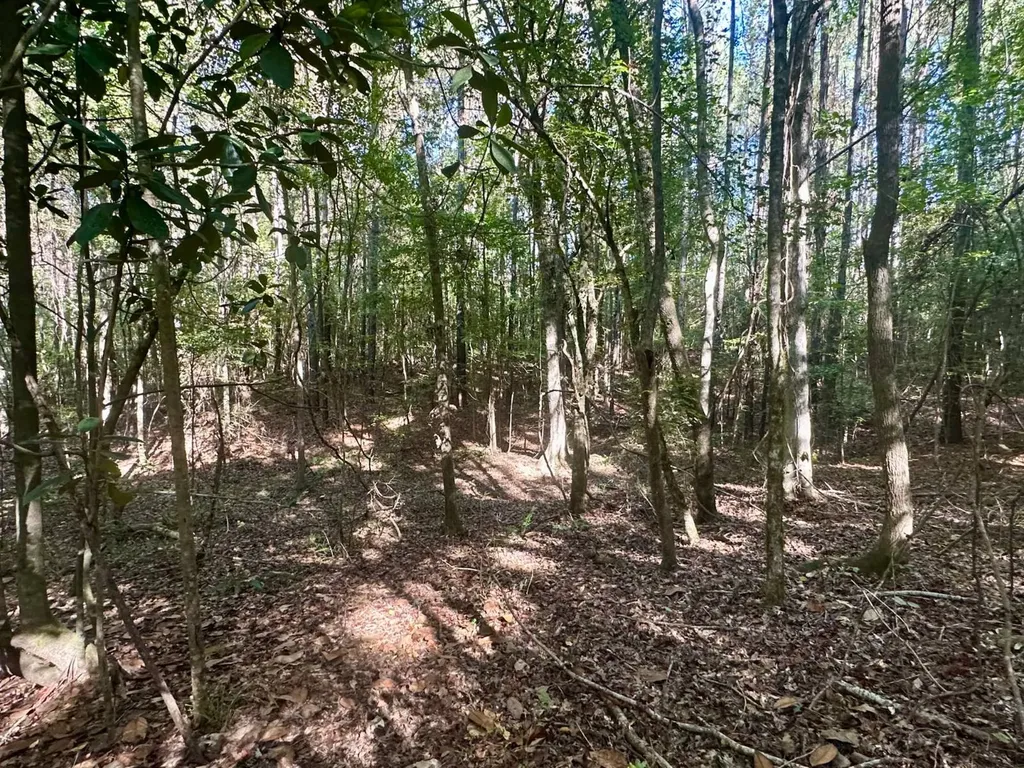 2495 Taylor Cross Road Lapine AL 36046