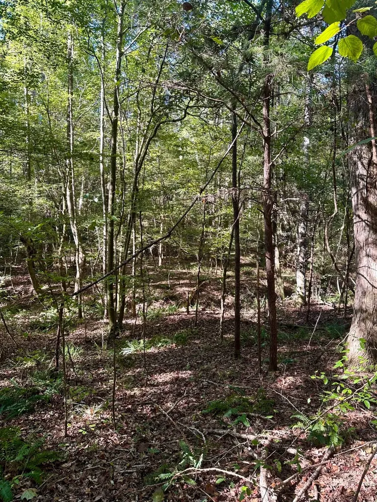 2495 Taylor Cross Road Lapine AL 36046