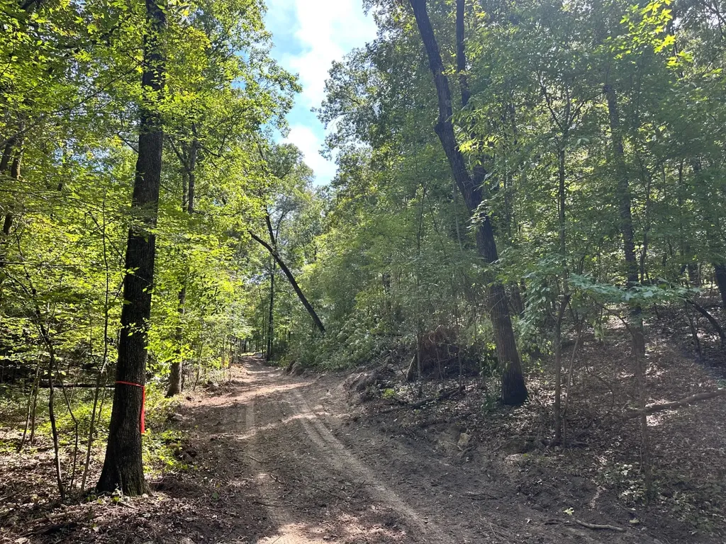 831 Smokey Road Alabaster AL 35007