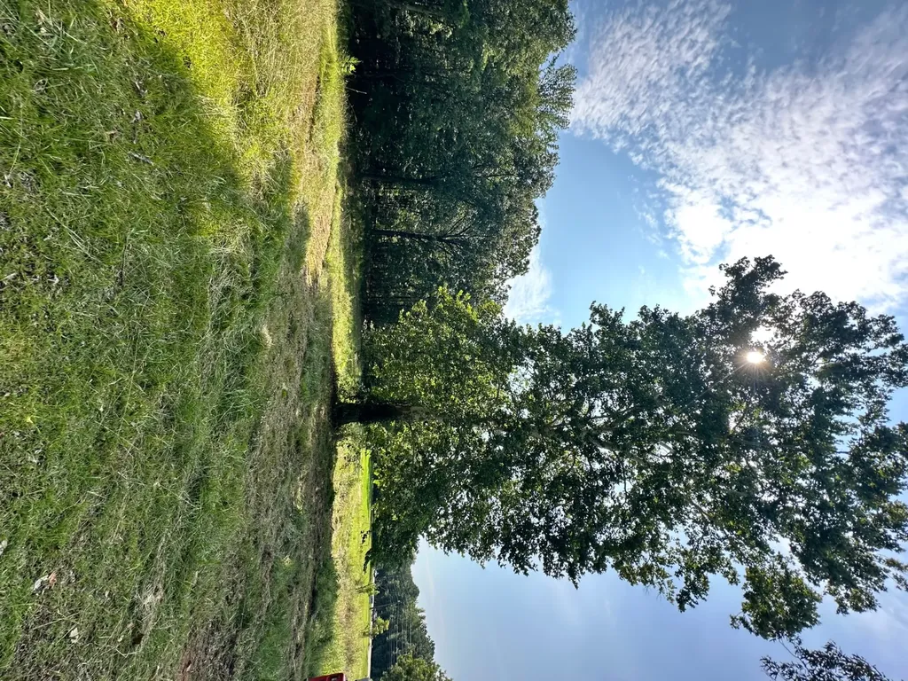 831 Smokey Road Alabaster AL 35007