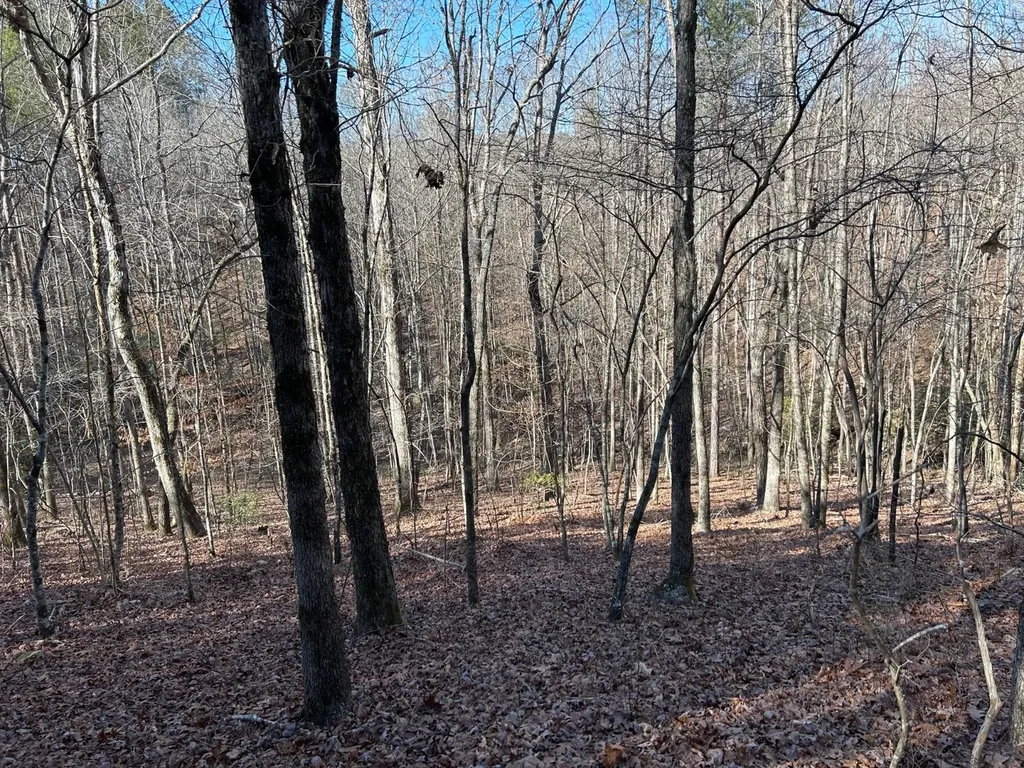 - County Road 325 Hamilton AL 35570