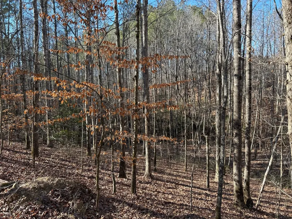 - County Road 325 Hamilton AL 35570