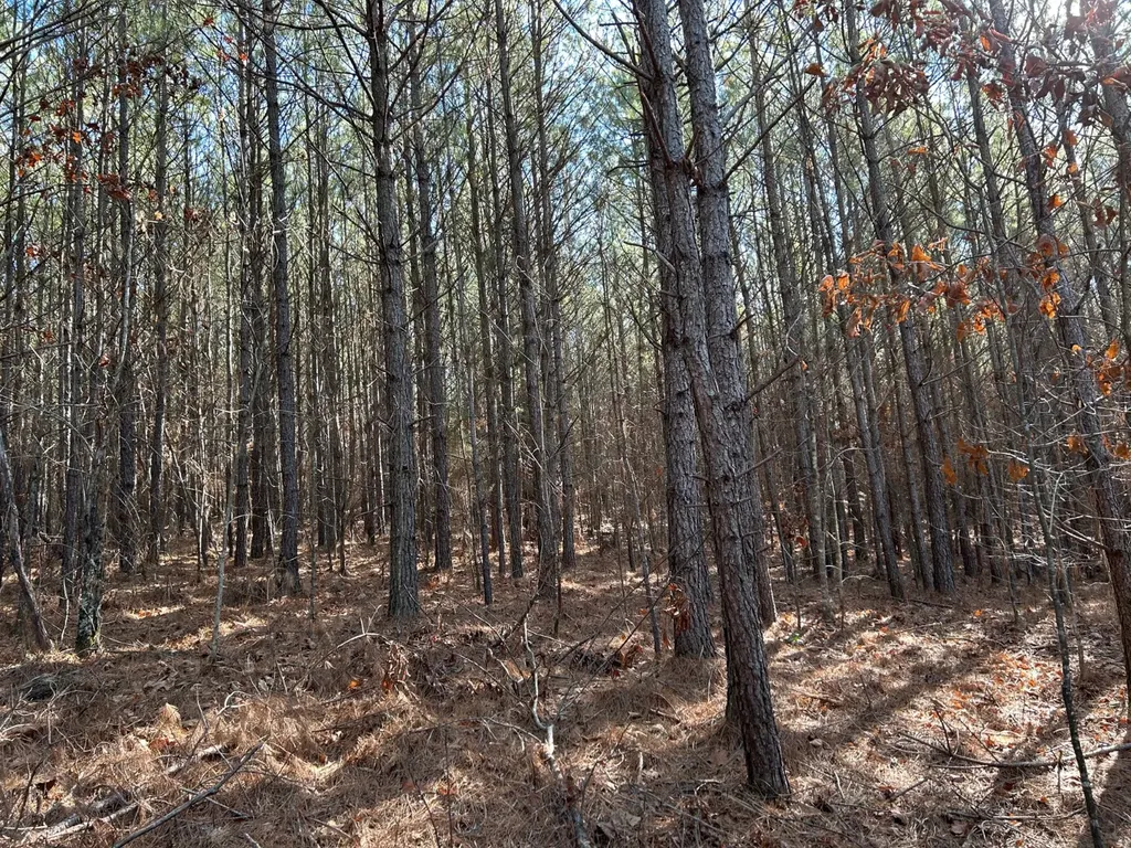 - County Road 325 Hamilton AL 35570