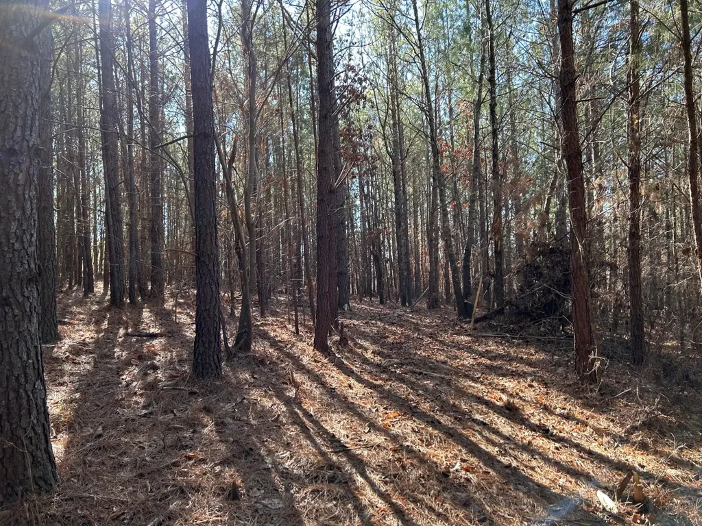 - County Road 325 Hamilton AL 35570