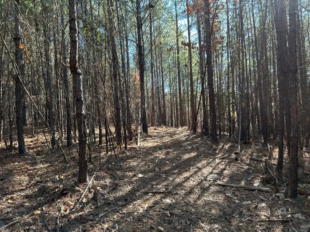 - County Road 325 Hamilton AL 35570