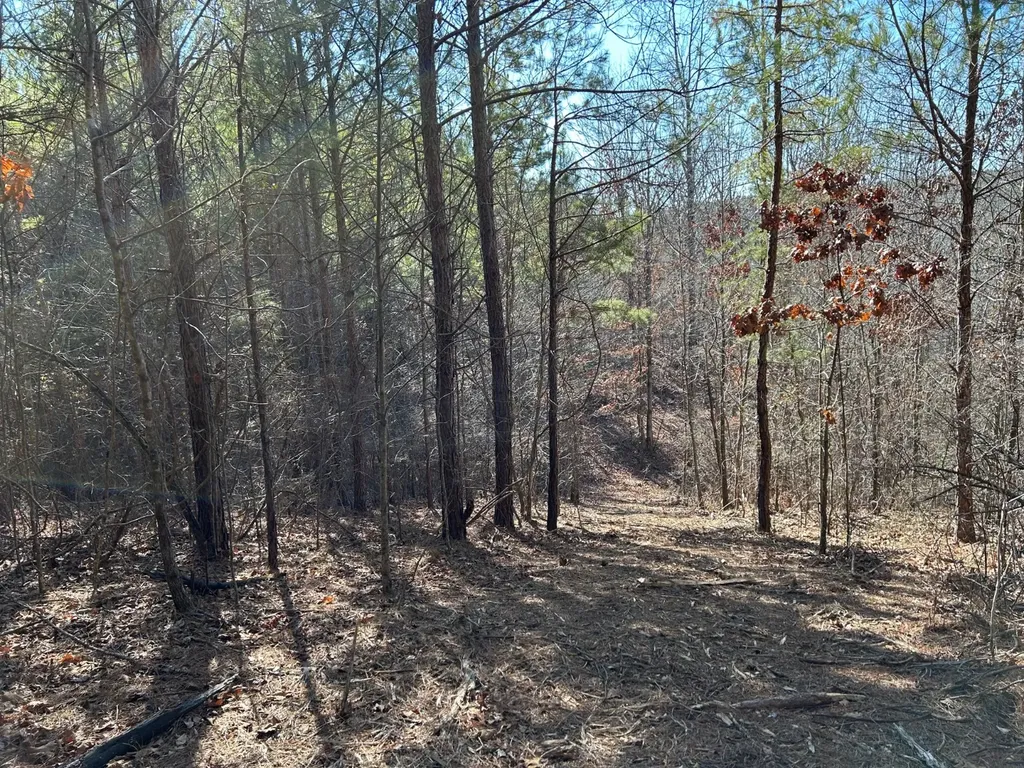 - County Road 325 Hamilton AL 35570