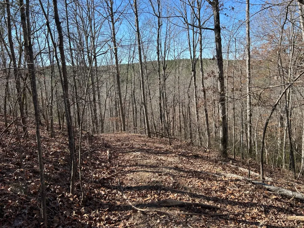 - County Road 325 Hamilton AL 35570