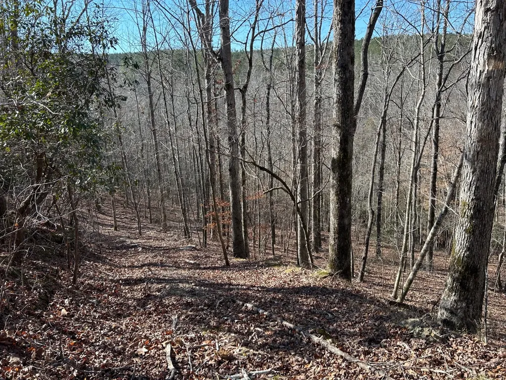 - County Road 325 Hamilton AL 35570