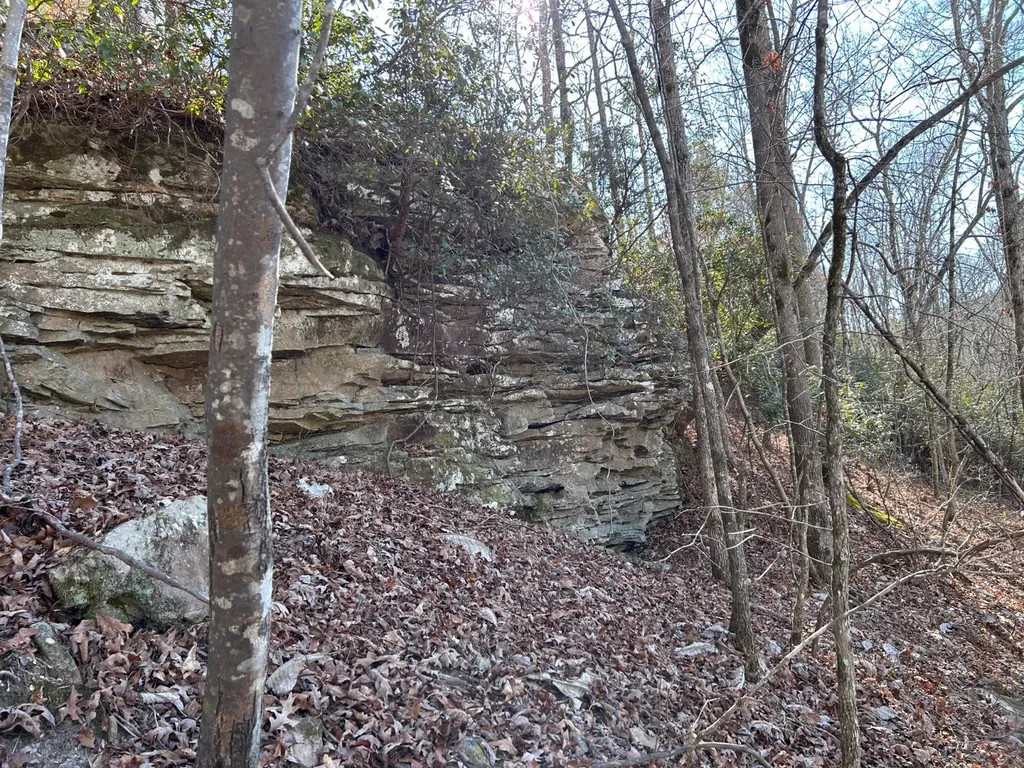 - County Road 325 Hamilton AL 35570