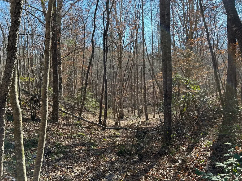 - County Road 325 Hamilton AL 35570