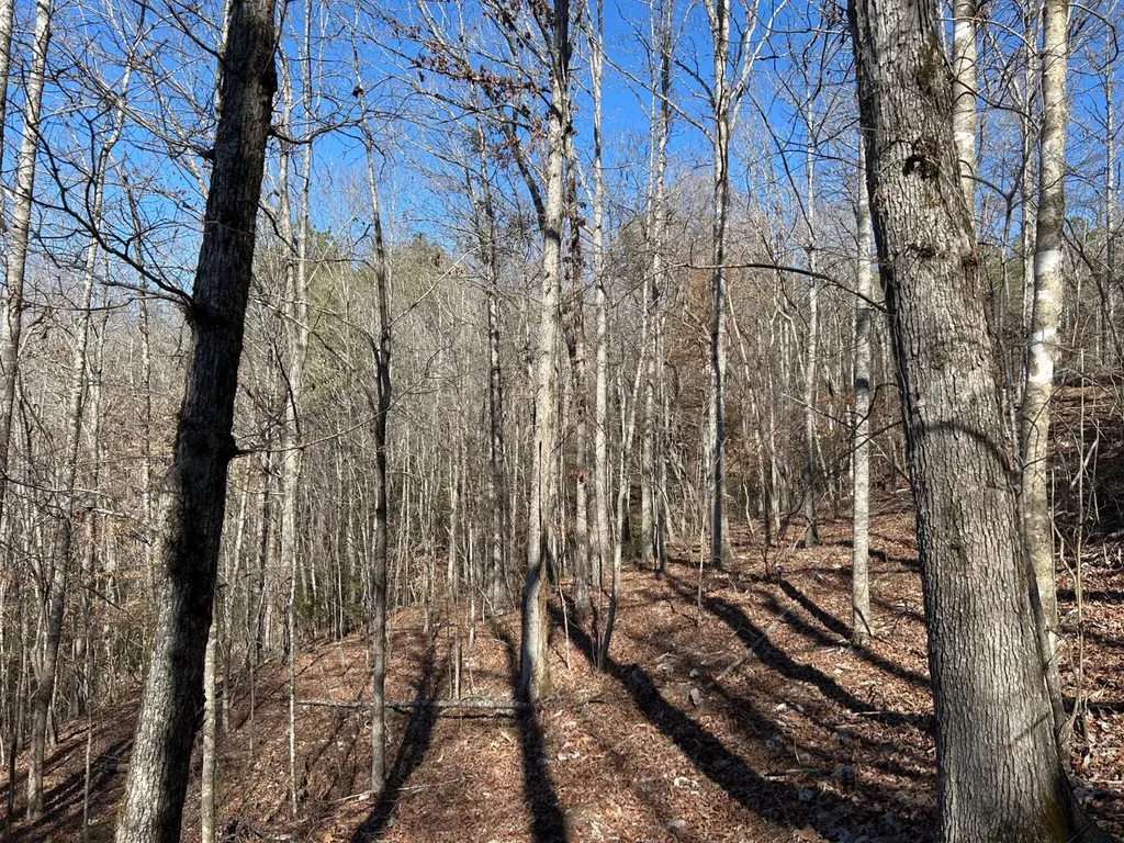 - County Road 325 Hamilton AL 35570