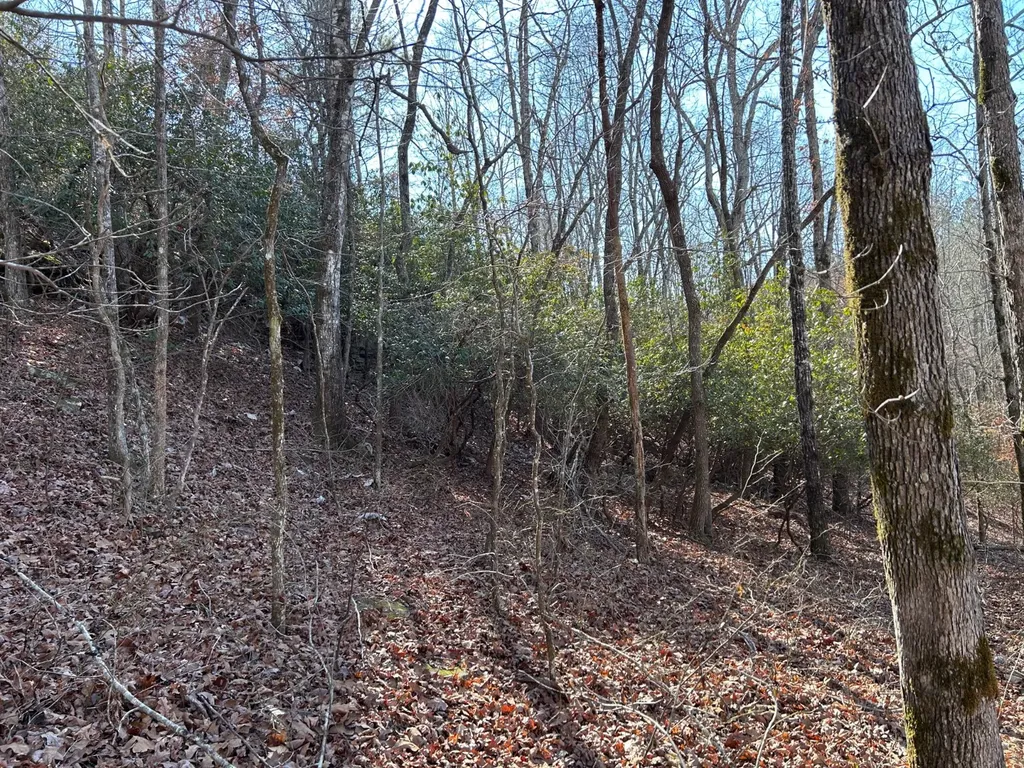 - County Road 325 Hamilton AL 35570