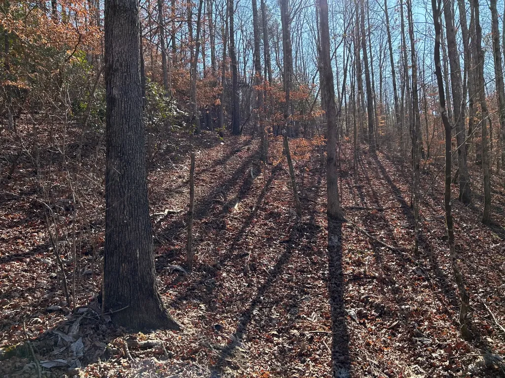 - County Road 325 Hamilton AL 35570