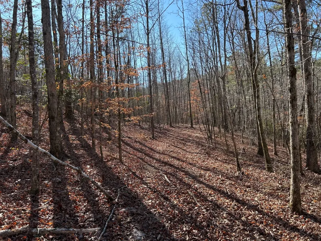 - County Road 325 Hamilton AL 35570