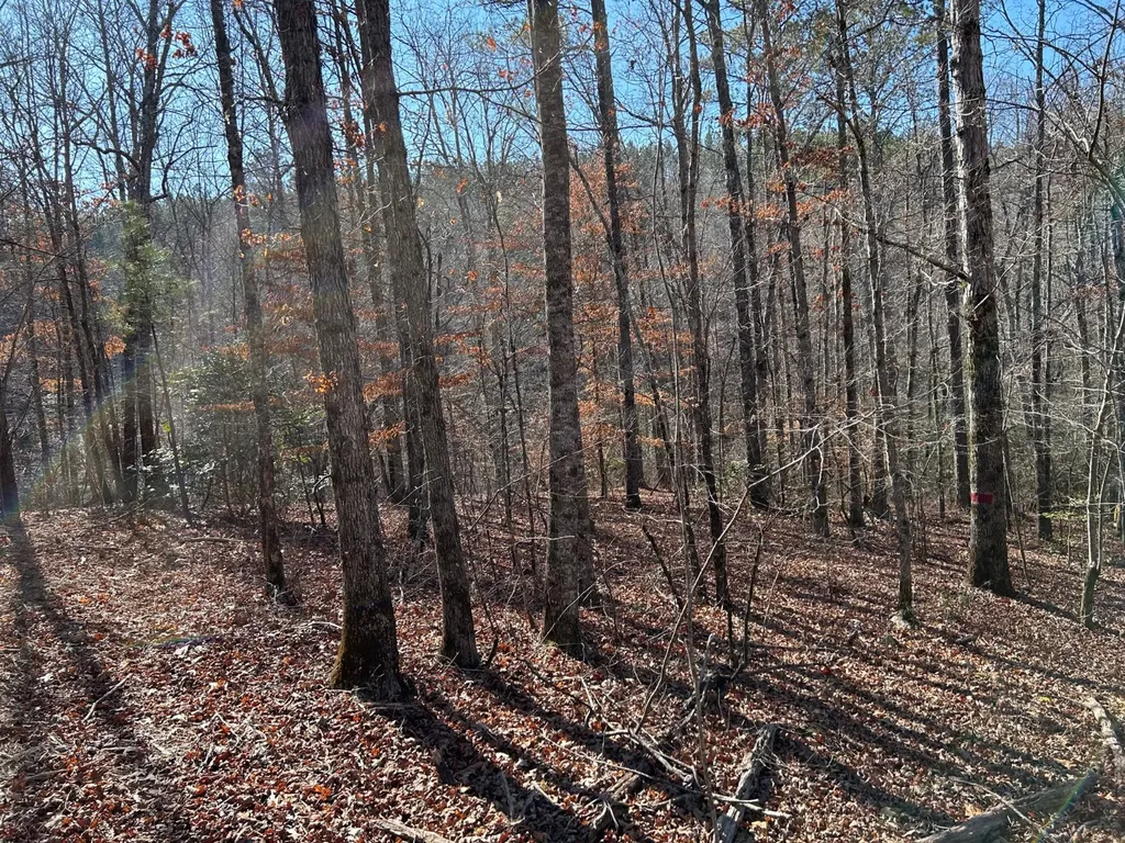 - County Road 325 Hamilton AL 35570