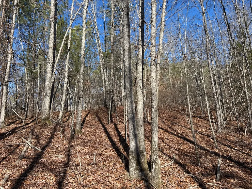 - County Road 325 Hamilton AL 35570