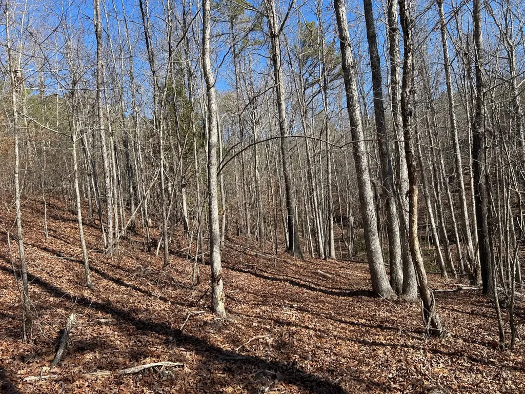 - County Road 325 Hamilton AL 35570