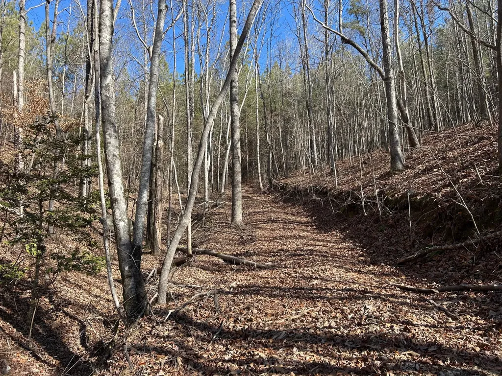 - County Road 325 Hamilton AL 35570