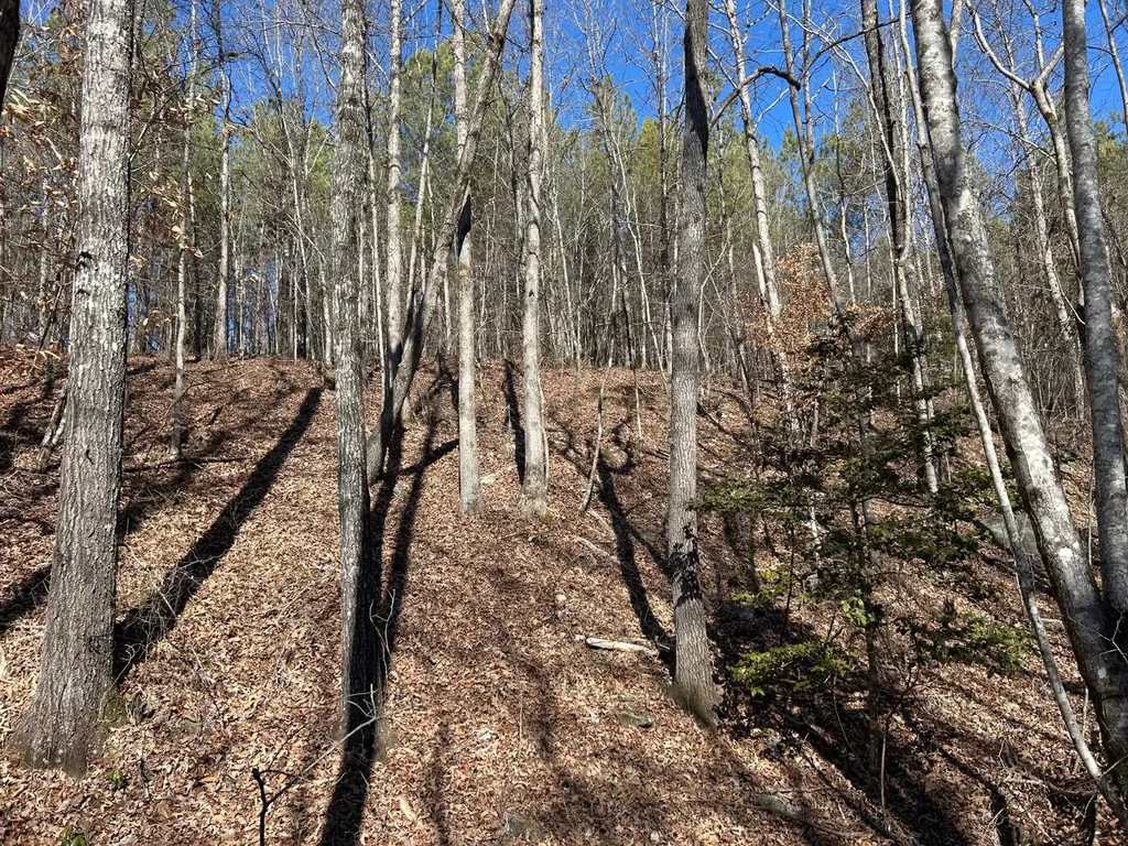 - County Road 325 Hamilton AL 35570